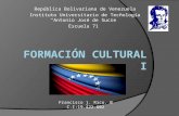 Diversidad cultural de Venezuela