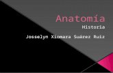 Suarez Ruiz Josselyn(Anatomia)