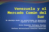 Venezuela y el Mercado Común del Sur