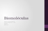 Curso Bioquímica 06-Biomoléculas