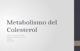 Curso Bioquímica 21-Colesterol