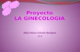 Proyecto tecnologia (laginecologia)
