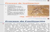 Cap 2 Proceso de Fosilizacion