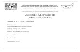Informe Jabón Antiacné