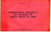 Monografia de Santa Rosa de Lima PDF