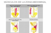 Tema 7. Musculos Zona Abdominal