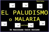 El Paludismo o Malaria