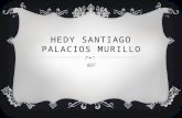 Hedy santiago palacios murillo