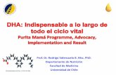 9. Chile: Programa purita mama; abogacia, implementación y beneficios