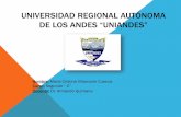 Universidad regional autónoma de los andes glandulas suprarrenales