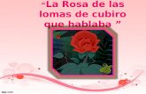La Rosa de las lomas de Cubiro que hablaba