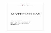 17232344 manual-de-matematica-120917214002-phpapp02