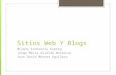 Sitios web y blogs
