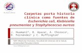 Carpetas porta historia clínica como fuentes de escherichia coli, klebisiella pneumoniae y staphylococcus aureus