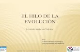 El Hilo de la Evolución. Fab Loom Madrid Lima. Febrero 2015