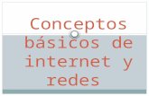 Conceptos básicos de internet y redes