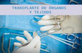 Enlace Ciudadano Nro. 277  ayuda memoria transplante de órganos y tejidos