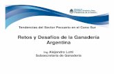 Tendencias del sector pecuario en el Cono Sur. Retos y desafíos por país: Argentina