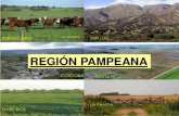 Región pampeana