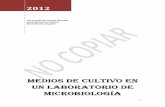 Medios de-cultivo-en-un-laboratorio-de-microbiologc3ada