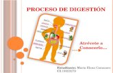 Proceso de digestión