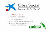 Historico Obra Social La Caixa y Fundación Cudeca