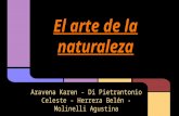 El arte-de-la-naturaleza-01 (1)