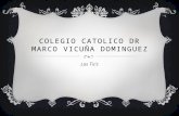 Colegio catolico dr marco vicuña dominguez