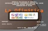 La ofimatica (ANIBAL GARCIA)