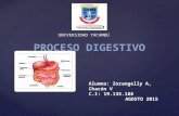Zorangelly proceso digestivo