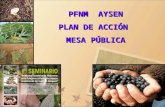 Presentacion mesa pfnm (2)