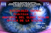 Anatomiadelgloboocularyopticadelavision 150518044205-lva1-app6891