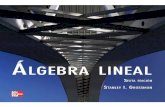 Algebra Lineal - Stanley Grossman (6ta)