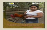 Sistemazación de experiencia de mujeres producción de gallinas y huevos