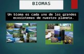 Ecologia biomas