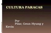 Cultura paracas