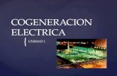 Unidad 1 cogeneración eléctrica