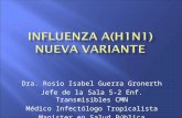 Influenza A H1N1 nueva variante (Para  Personal De Salud)