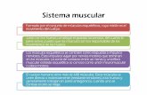 Fisiologia del sistema muscular