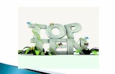 Presentation1 top ten pptx