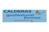 Calderas gas natural