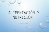Alimentacion vs nutricion