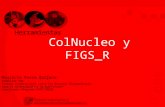 Presentación 6 - Herramientas ColNucleo y FIGS_R