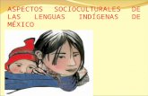 Aspectos socioculturales de las lenguas ind+ìgenas de m+ëxico
