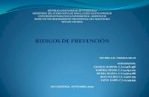 Diapositivas prevencion 24 11-12