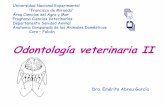 Odontología veterinaria ii