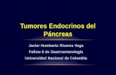 Tumores endocrinos del pancreas
