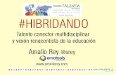 Talento Conector multidisciplinar y visión renacentista de la educación (Amalio Rey)