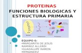 TEMA 6: Proteinas: funciones biologicas y estructura primaria.