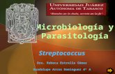 Streptococcus - Gpe. Ark0z